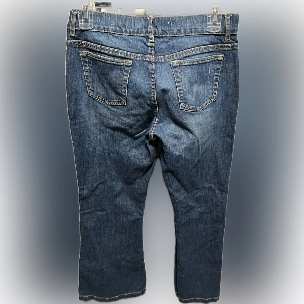 Gap Flare Blue Denim Jeans with Pink Embroidery